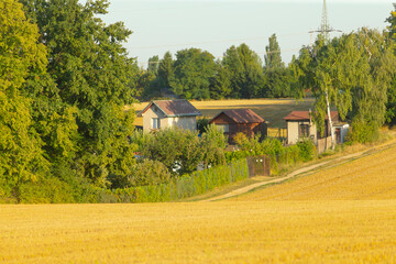 Obraz premium A picturesque rural scene featuring traditional homes surrounded by lush greenery and golden fields, perfect for capturing the essence of countryside tranquility.
