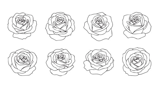 Naklejki Collection of eight detailed rose flower head outlines in silhouette