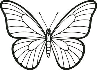 Vector line art, blue-morpho style with bold outer border and subtle inner veins, top view, black stroke, no fill