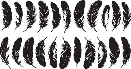 Set of 14 black silhouette feather illustrations, elegant bird feathers vector art, natural organic design, minimalistic style. © MR JOKER