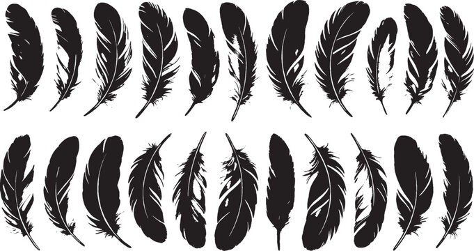 Fototapeta Set of 14 black silhouette feather illustrations, elegant bird feathers vector art, natural organic design, minimalistic style.