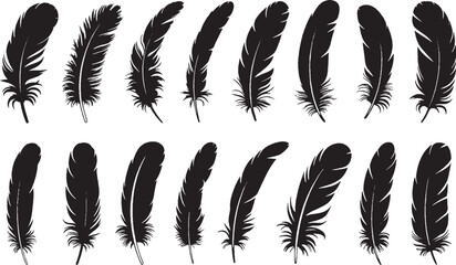 Set of 14 black silhouette feather illustrations, elegant bird feathers vector art, natural organic design, minimalistic style. © MR JOKER