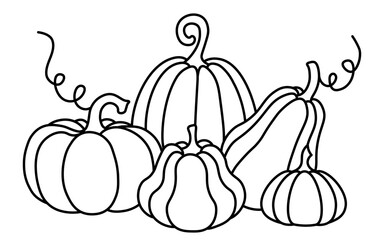 Pumpkin line art. Simple black and white vector illustration of pumpkins and gourds. Perfect for children and adults, for fall, Halloween, Thanksgiving, or harvest-themed designs. Ready to print