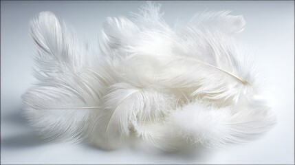 Abstract Arrangement Of White Feathers