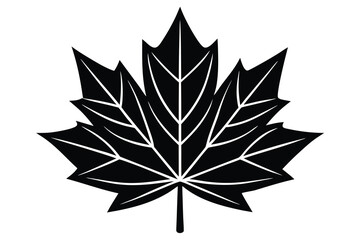 maple leaf line art icon