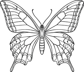 Vector line art, swallowtail with tail extensions, ornate inner wing patterns, centered top view, black stroke only