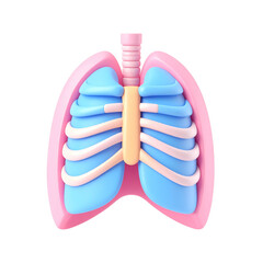 a close up of a model of a human lungs with a toothbrush