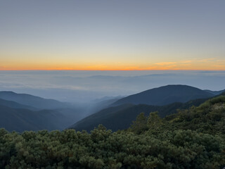 蝶ヶ岳山頂から望む雲海に昇る日の出