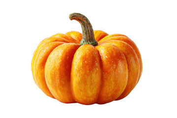A small, vibrant orange pumpkin with a textured stem, featuring natural ridges and a slightly glossy surface.
