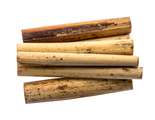 Bamboo stems cut into sections and neatly stacked showing natural wood texture and grain on isolated background