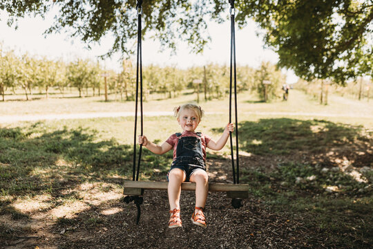Toddler on wooden swing in apple orchard during fall season