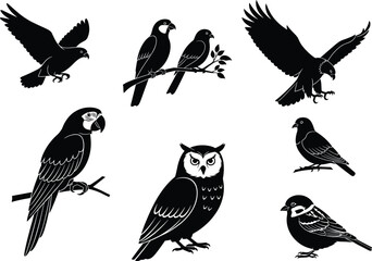 Bird silhouettes and illustrations including owl, parrot, sparrow, eagle, perched birds, flying birds, wildlife animals, nature vector illustrationBird silhouettes and illustration