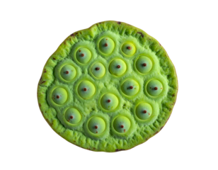 Green lotus seed pod top view with visible embedded seeds and honeycomb texture in a round disc form on isolated background
