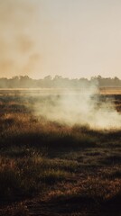 Misty Sunrise Field with Smoke