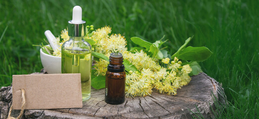 Fototapeta premium Linden flowers and essential oil, herbal medicine