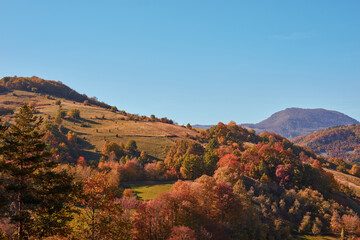 Autumn colored trees and countryside landscape scenery.