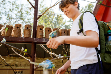 Excited teenager boy feeding colorful parrot birds at zoo or aviary. Happy teenage child interacting with animals outdoors. Real life authentic family lifestyle moment
