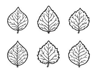 Castor Leaf Natural Herbal Plant Extract