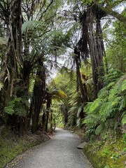 Beautiful nature and surroundings in Rotorua, New Zealand
