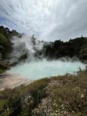Beautiful nature and surroundings in Rotorua, New Zealand