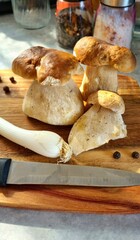 Kitchen interior, cooking porcini mushrooms on a wooden board with spices and a knife. Concept of proper nutrition.