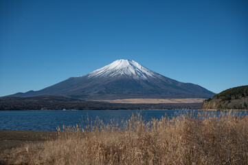 山中湖から望む富士山