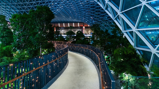 Orchard - The Tropical Garden in the Middle of the Biophilic Hamad Qatar Airport