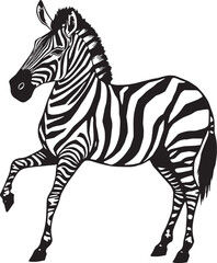 Fototapeta premium Zebra illustration. Hand drawn vector illustration