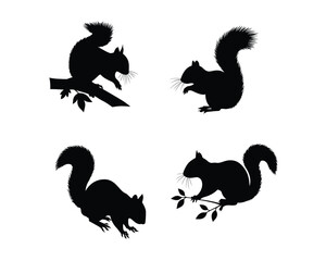Four distinct black silhouette illustrations of squirrels in various natural poses on a clean white background