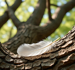 bird feather on tree
