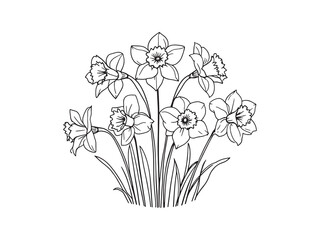 Daffodil Cheerful Flowers Growing In Sunshine