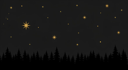 Fototapeta premium fireworks in the night