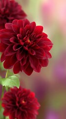 Vivid closeup of a flower in bloom with soft focus background, captivating floral portrait.