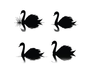 Four elegant black swan silhouettes floating gracefully on calm water with reflections