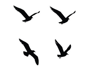 Four distinct black silhouettes of seagulls in flight against a clean white background showcasing their wingspan and graceful movement