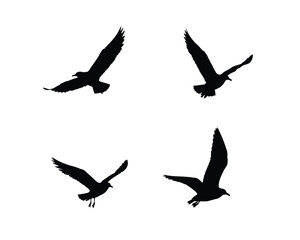 Obraz premium Four silhouettes of seagulls in flight against a white background showcasing different wing positions and dynamic movement
