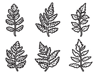 Fern Leaf Indoor Garden Home Design