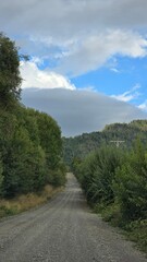 Scenic view of mountains near Lago Ranco in southern Chile, with natural beauty, forests, and peaceful landscapes under a clear sky.