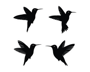 Four black silhouette hummingbirds in flight displaying different wing positions and body angles against a white background