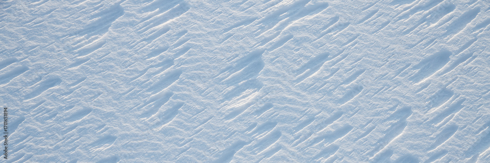 Wall mural beautiful winter background with snowy ground. natural snow texture. wind sculpted patterns on snow 