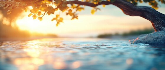 Sunrise over calm water landscape