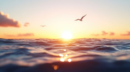 Sunrise over ocean with birds