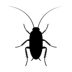 Cockroach svg cut file. Isolated vector illustration.