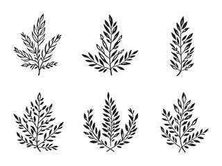 Laurel Leaf Inspires Nature Inspired Designs