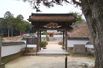 松平郷本松山高月院