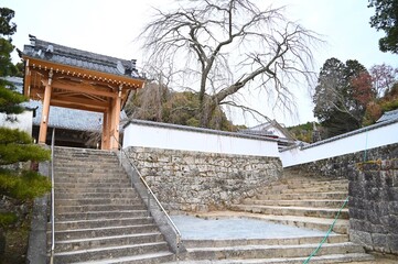 松平郷本松山高月院