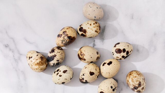 Speckled quail eggs rest on cool marble, evoking spring rebirth, delicate gastronomy, and World Egg Day celebrations