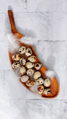 Quail eggs nestled among fluffy feathers on a wooden leaf platter, evoking Ostara's rebirth and culinary whimsy