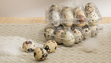 Quail eggs nestled in ethereal fluff, evoking the vernal equinox and Cottagecore aesthetics, embodying renewal and rustic charm