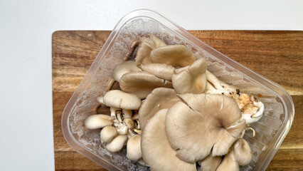 Enticing oyster mushrooms nestle in a rustic basket, evoking forager's delight at Fungus Festival and Mabons harvest feast